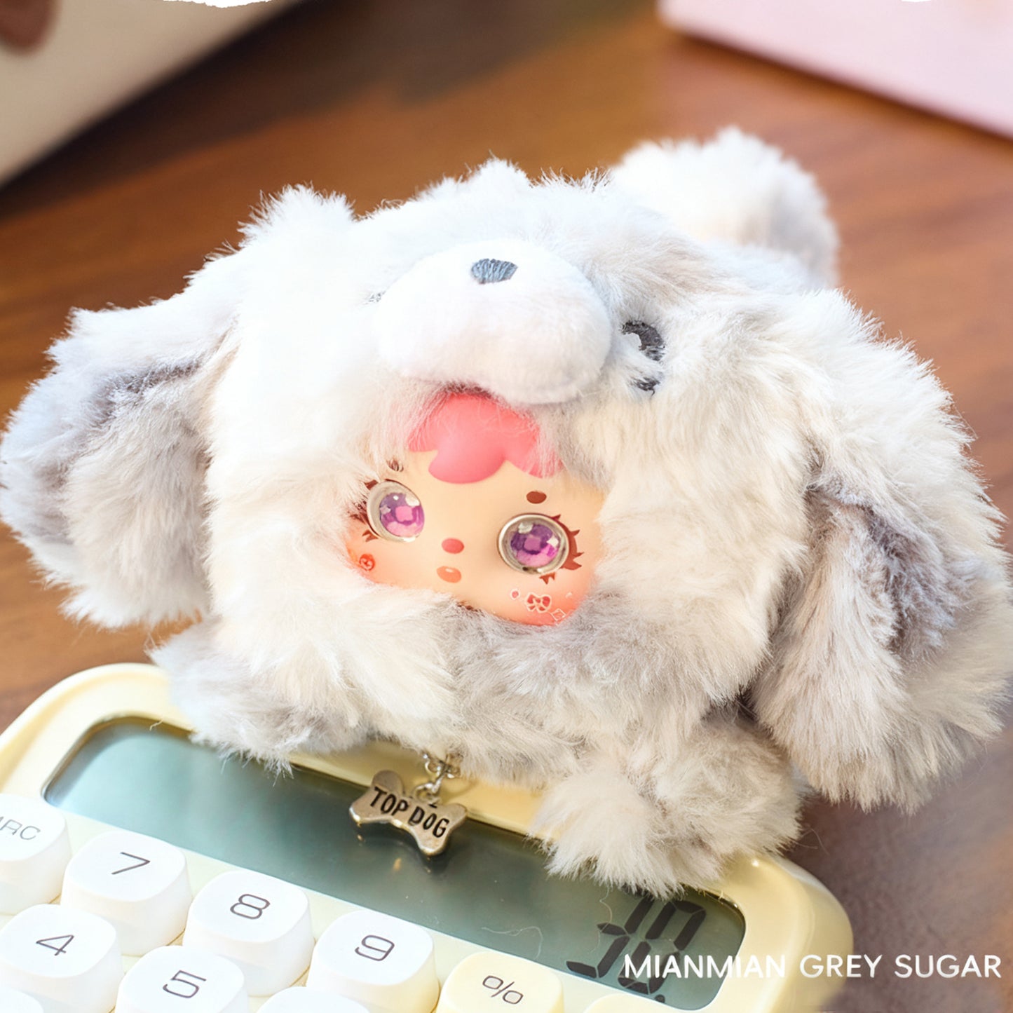 SAMUEL Cartoon Puppy Lucky Blind Box, Cute Girl Gift, Creative Bedroom Doll Decoration(Random 1PCS)